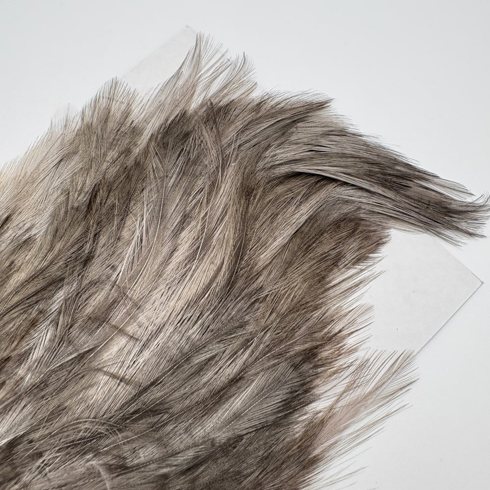 CANAL�ҡ����ԥʡ������� �֥롼����SA ��