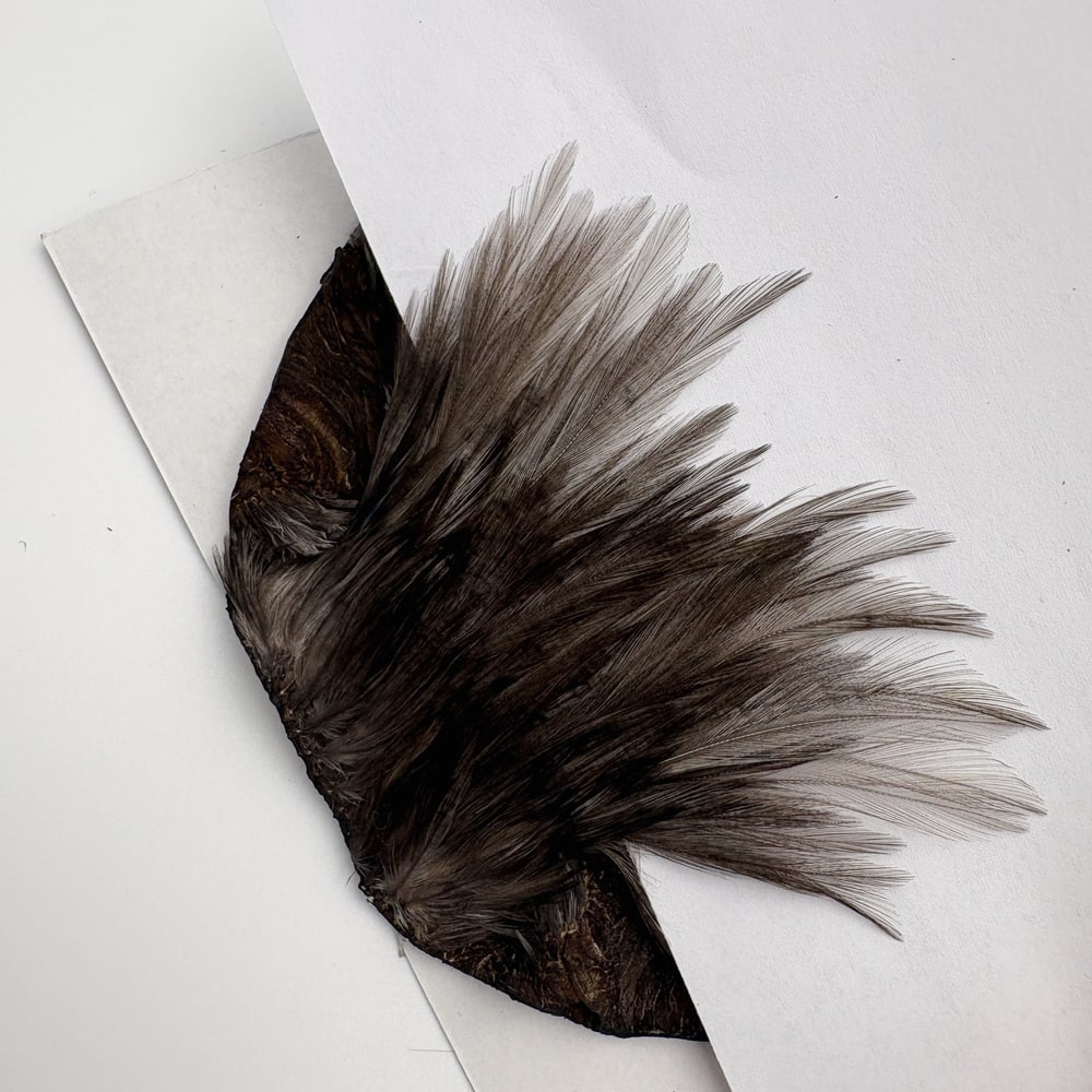 CANAL�ҡ����ԥʡ������� �֥롼����SA ��