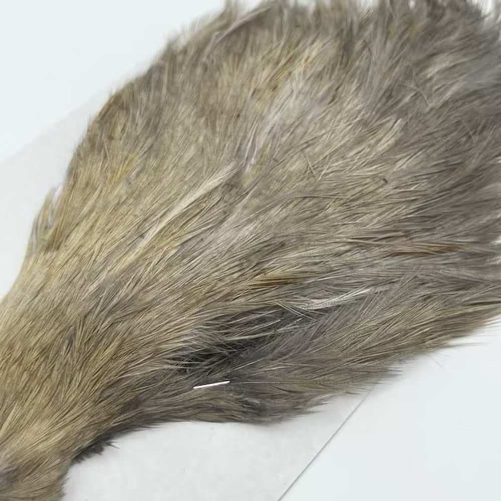 CANAL�ҡ����ԥʡ������� �֥롼����SA ��