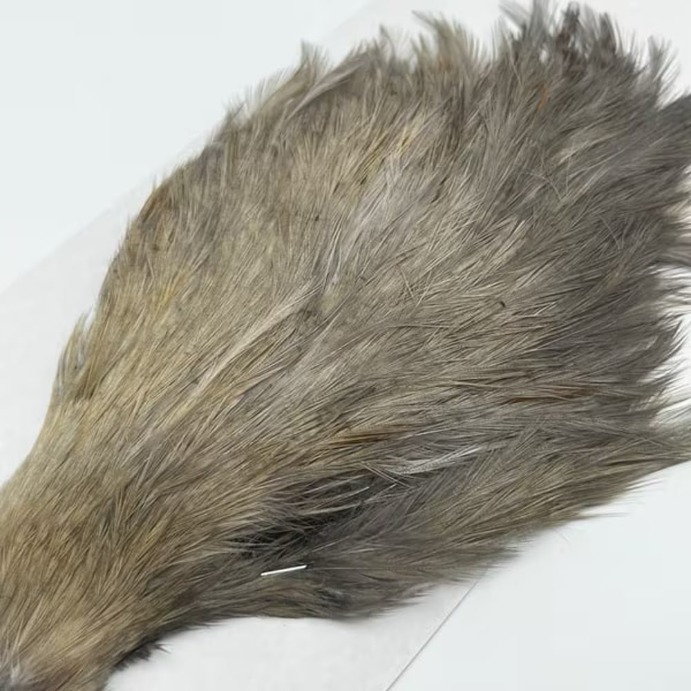 CANAL�ҡ����ԥʡ������� �֥롼����SA ��