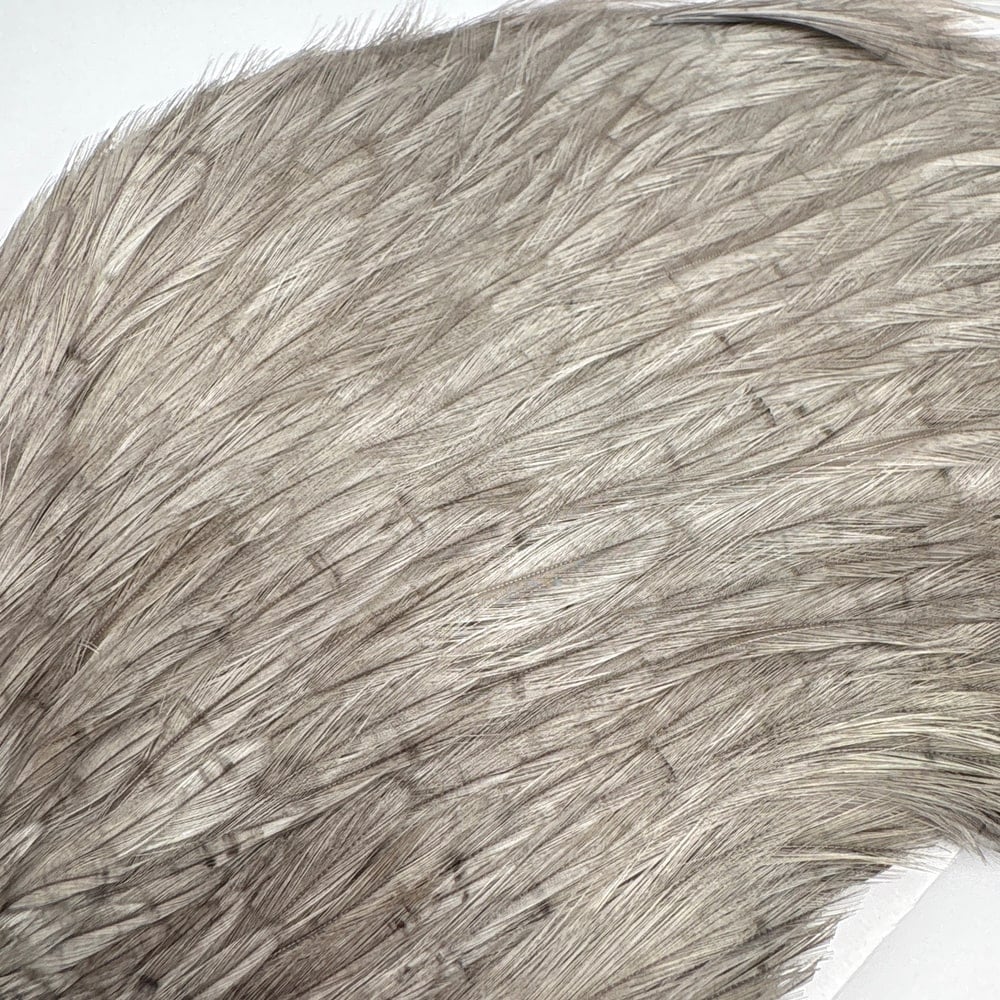 CANAL�ҡ����ԥʡ������� �֥롼����SA ��