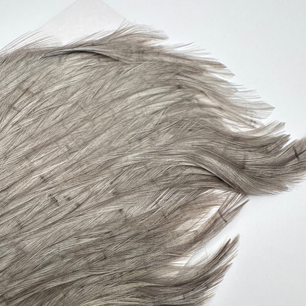 CANAL�ҡ����ԥʡ������� �֥롼����SA ��