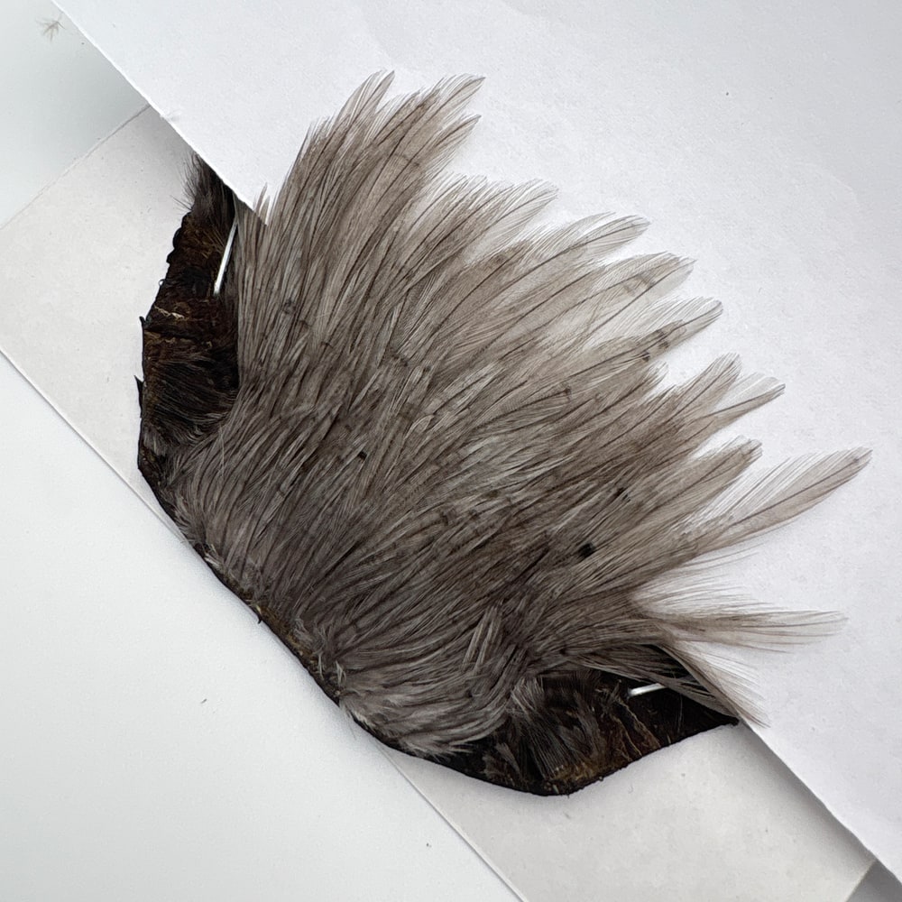 CANAL�ҡ����ԥʡ������� �֥롼����SA ��