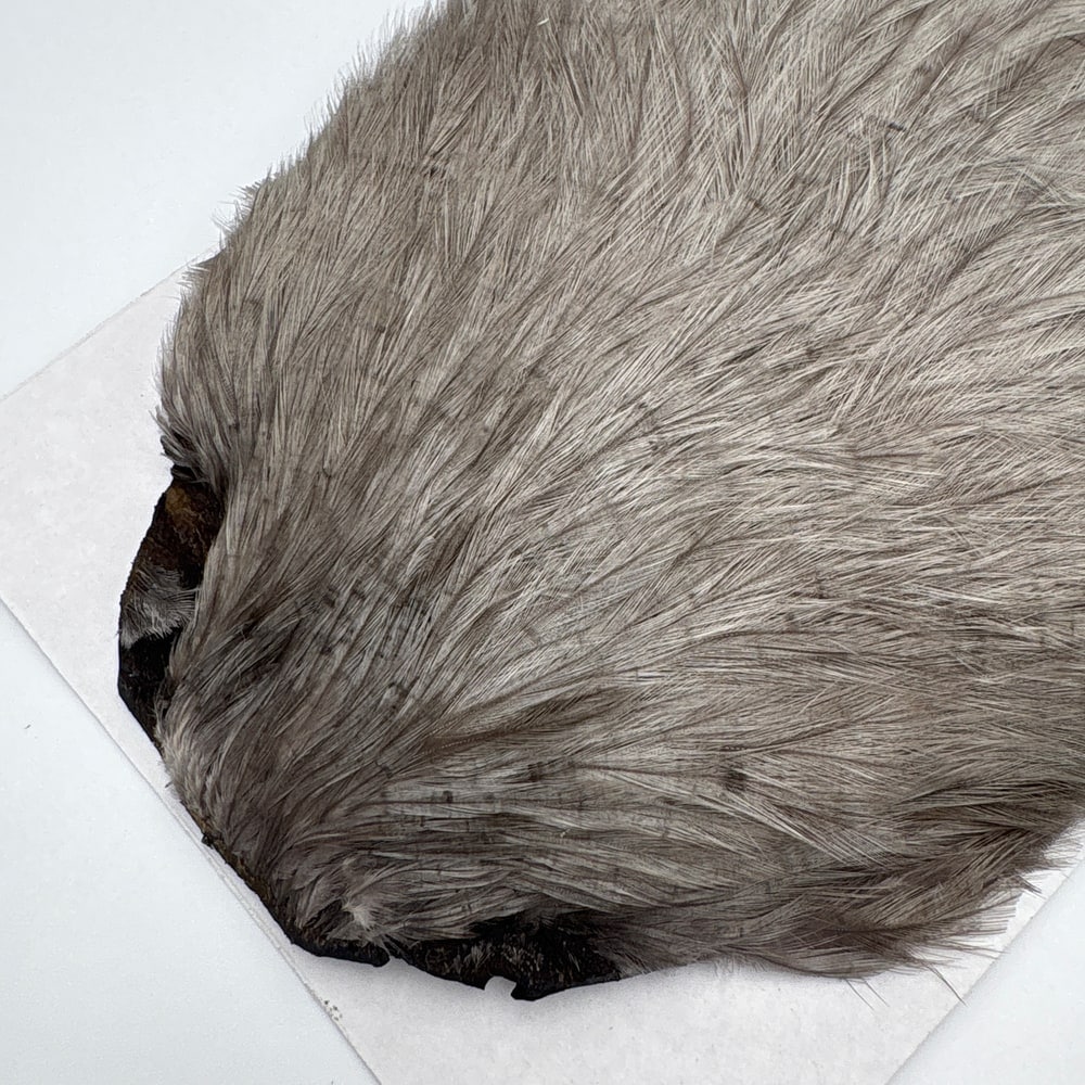 CANAL�ҡ����ԥʡ������� �֥롼����SA ��