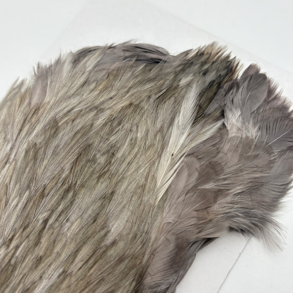 CANAL�ҡ����ԥʡ������� �֥롼����SA ��