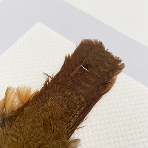 CANALҡХ֡ѡȥåץ꡼ȥ 3