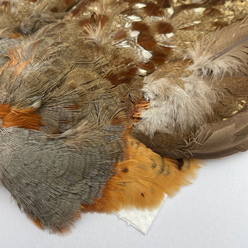 CANALҡХ֡ѡȥåץ꡼ȥ 3