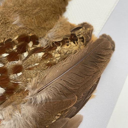 CANALҡХ֡ѡȥåץ꡼ȥ 3