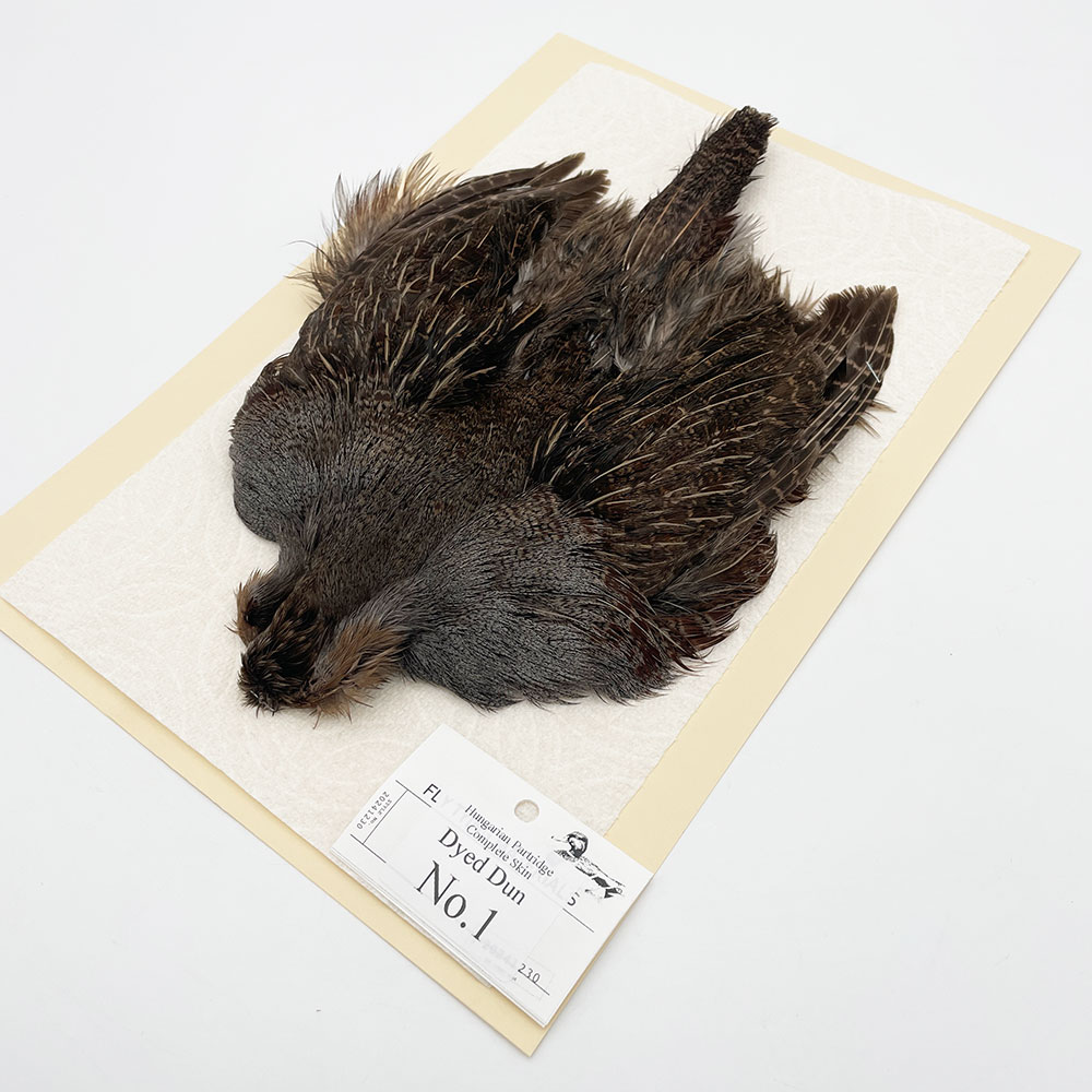 ϥ󥬥ꥢѡȥåץ꡼ȥ SAɥ NO.1