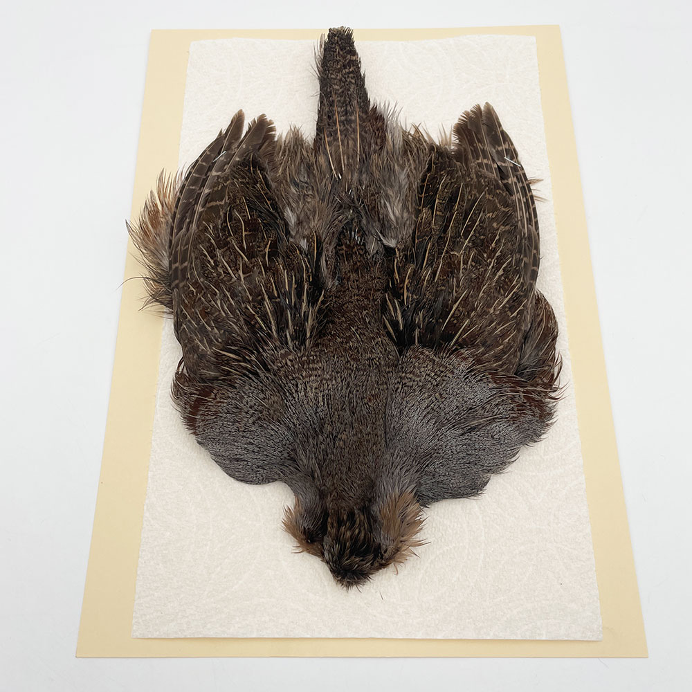 ϥ󥬥ꥢѡȥåץ꡼ȥ SAɥ NO.1