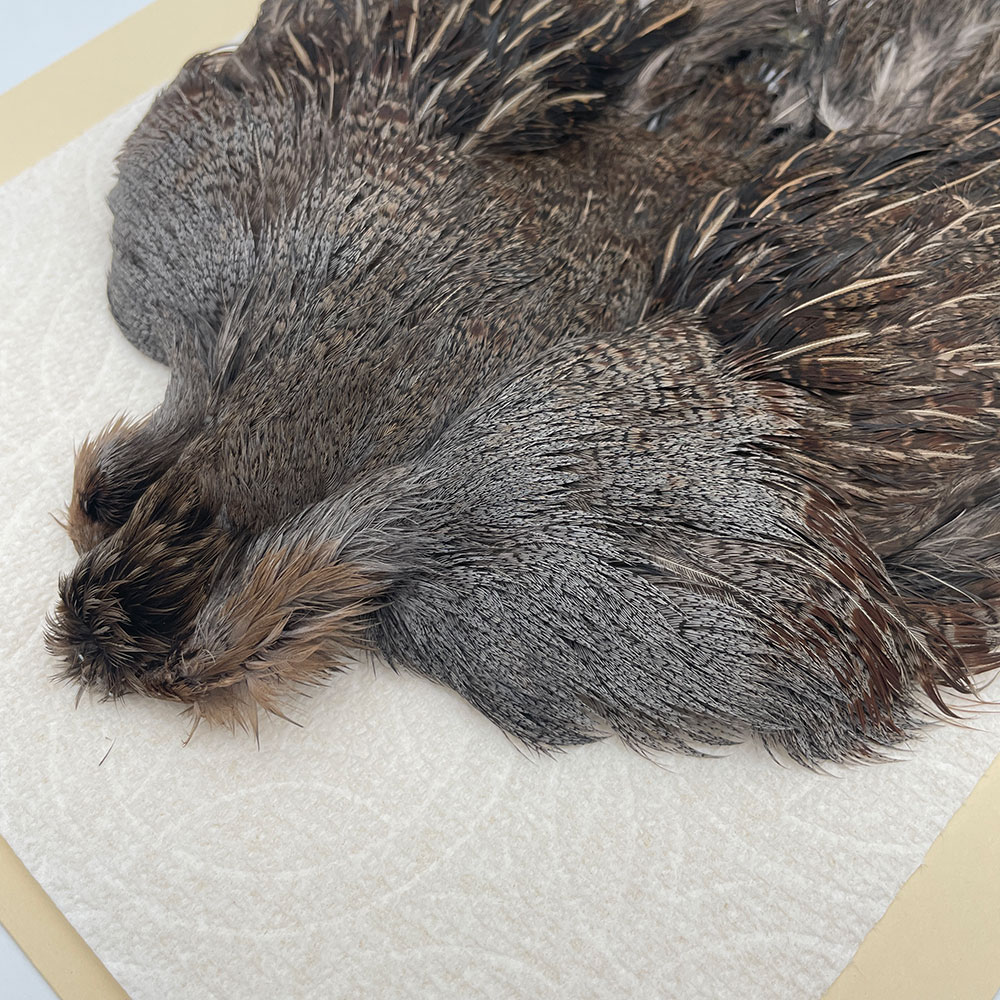 ϥ󥬥ꥢѡȥåץ꡼ȥ SAɥ NO.1