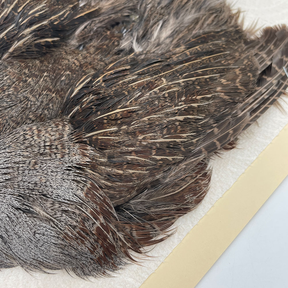 ϥ󥬥ꥢѡȥåץ꡼ȥ SAɥ NO.1