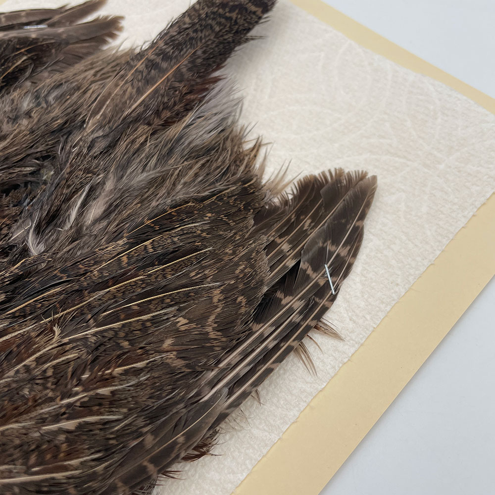 ϥ󥬥ꥢѡȥåץ꡼ȥ SAɥ NO.1