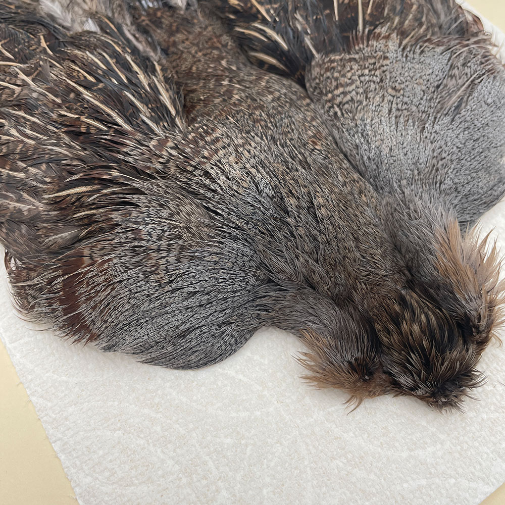 ϥ󥬥ꥢѡȥåץ꡼ȥ SAɥ NO.1