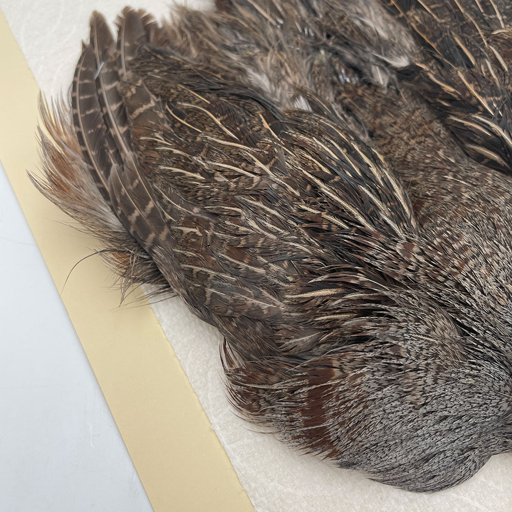 ϥ󥬥ꥢѡȥåץ꡼ȥ SAɥ NO.1