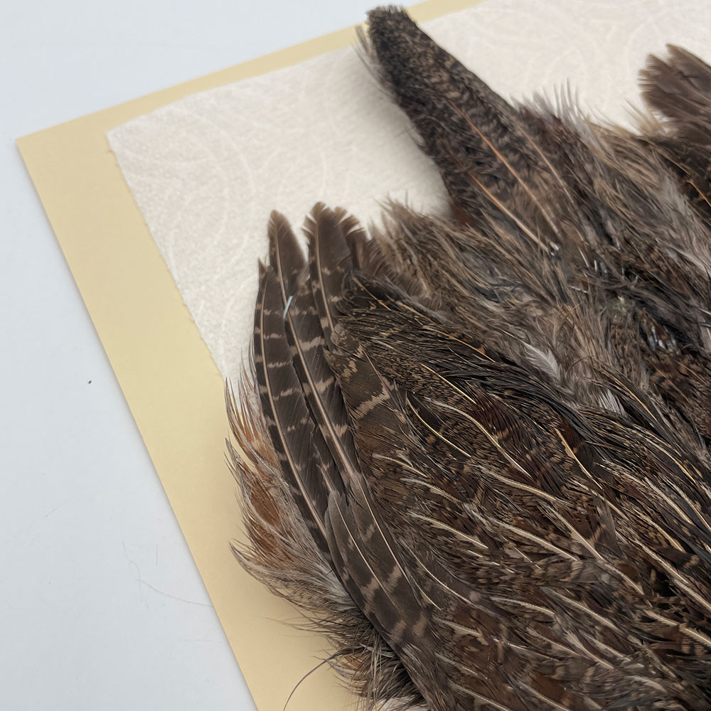 ϥ󥬥ꥢѡȥåץ꡼ȥ SAɥ NO.1