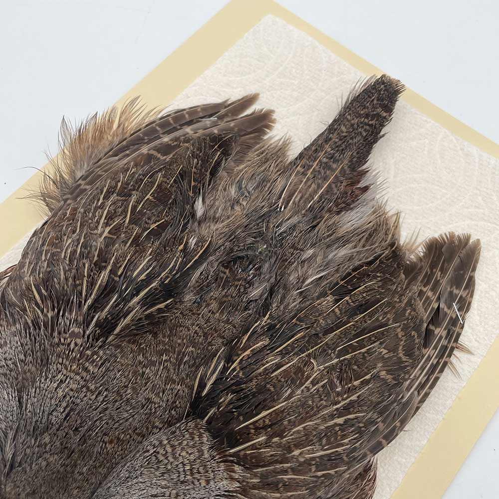 ϥ󥬥ꥢѡȥåץ꡼ȥ SAɥ NO.1