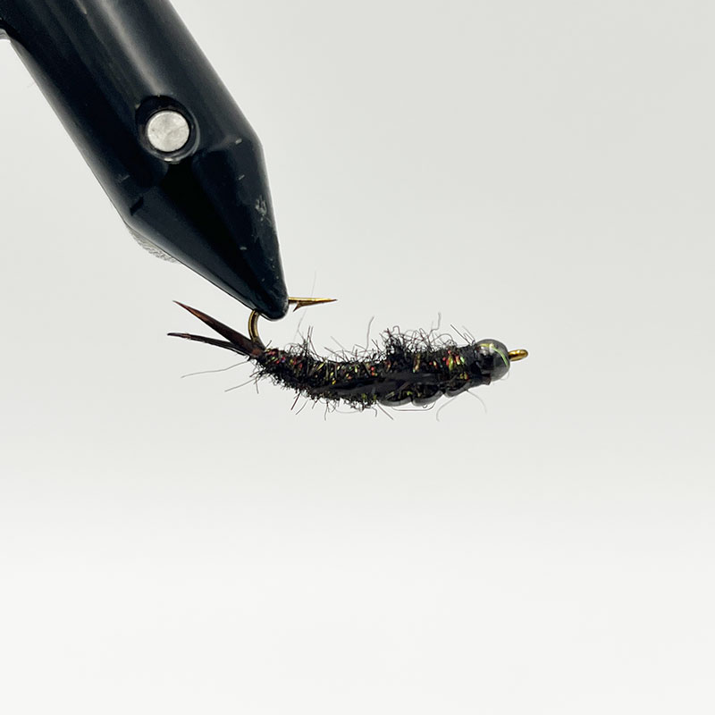 ストーンフライ ピーコックブラック #10（ニンフ）