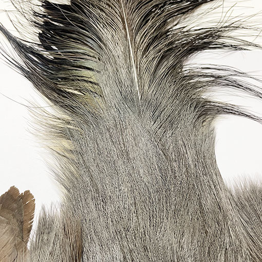 ����ʥ�ҡ��֥롼���䡼�ե�����ȥ���ץ꡼�ȥ�����