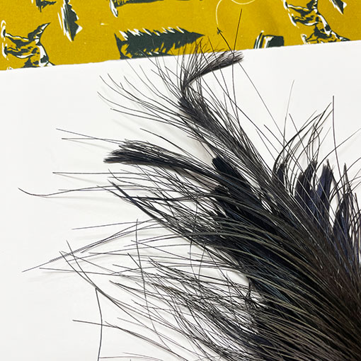 ����ʥ�ҡ��֥롼���䡼�ե�����ȥ���ץ꡼�ȥ�����