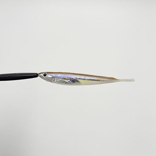 Cat　ドライワカサギ#8×10本オーダーフライ X-80 TRICK DARTER(エックス80 トリックダーター) ステルス