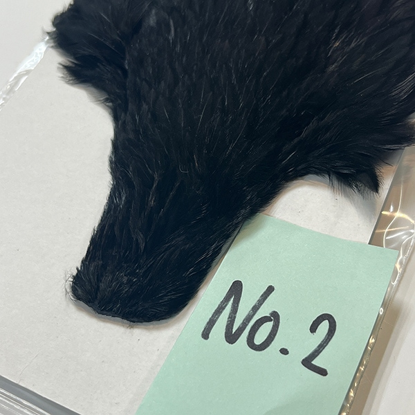 CANAL�ҡ��إ󡡥��ԥʡ������󥰡��֥�å���