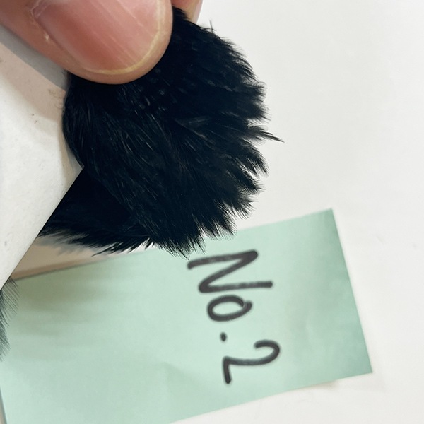 CANAL�ҡ��إ󡡥��ԥʡ������󥰡��֥�å���