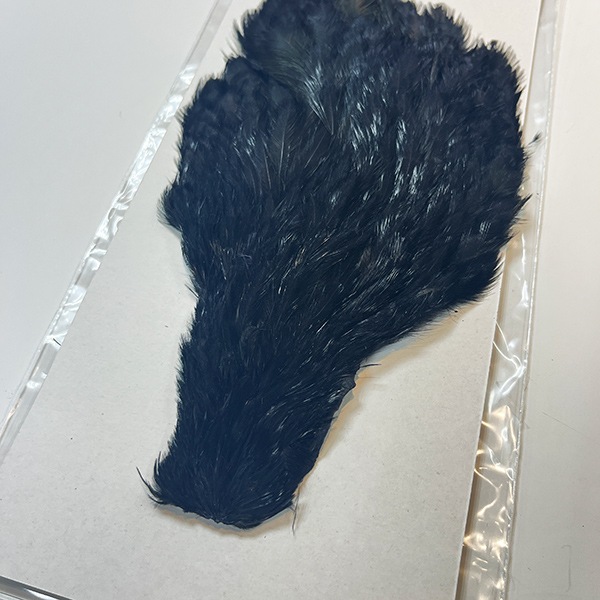 CANAL�ҡ��إ󡡥��ԥʡ������󥰡��֥�å���