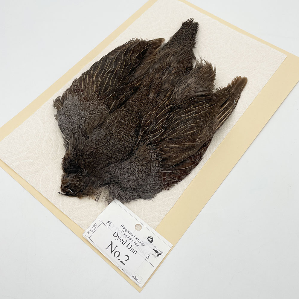 ϥ󥬥ꥢѡȥåץ꡼ȥ SAɥ NO.2