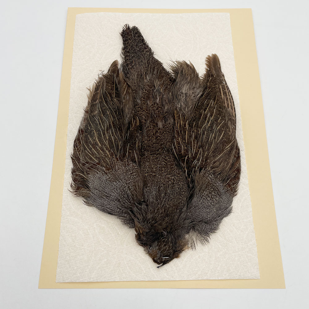 ϥ󥬥ꥢѡȥåץ꡼ȥ SAɥ NO.2