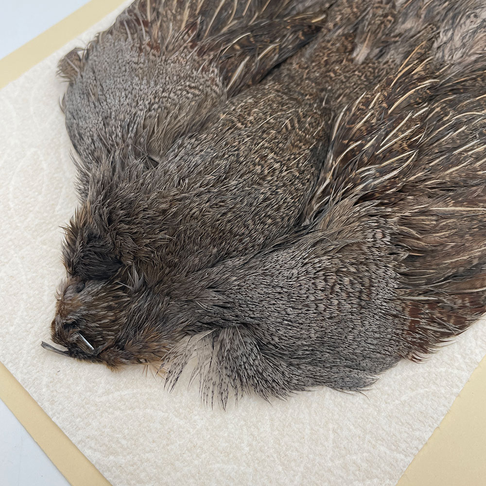 ϥ󥬥ꥢѡȥåץ꡼ȥ SAɥ NO.2