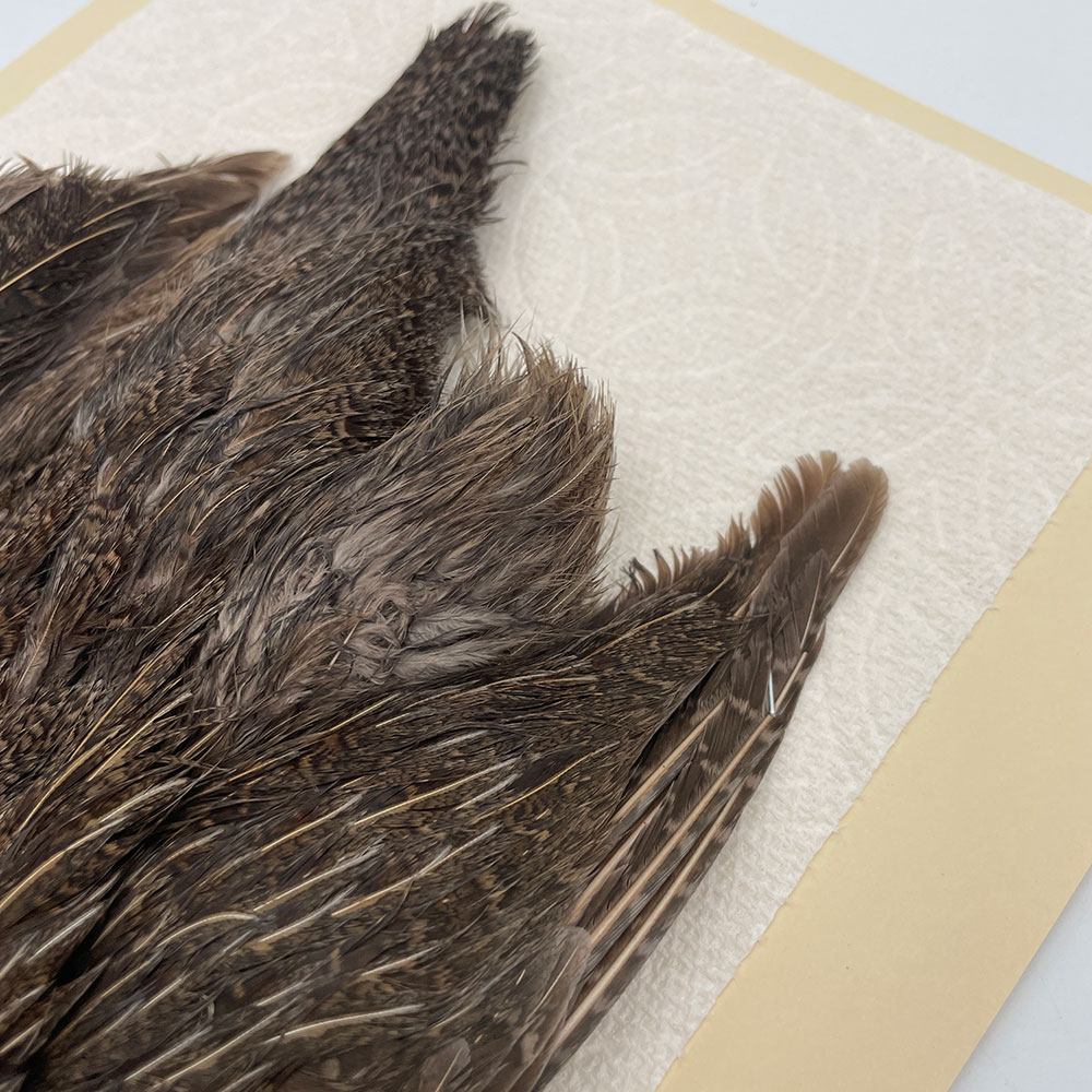 ϥ󥬥ꥢѡȥåץ꡼ȥ SAɥ NO.2