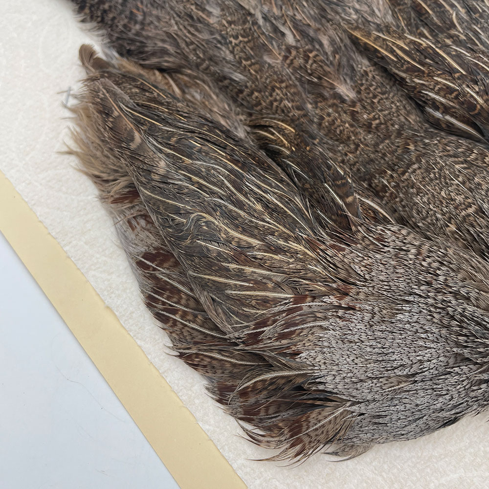 ϥ󥬥ꥢѡȥåץ꡼ȥ SAɥ NO.2