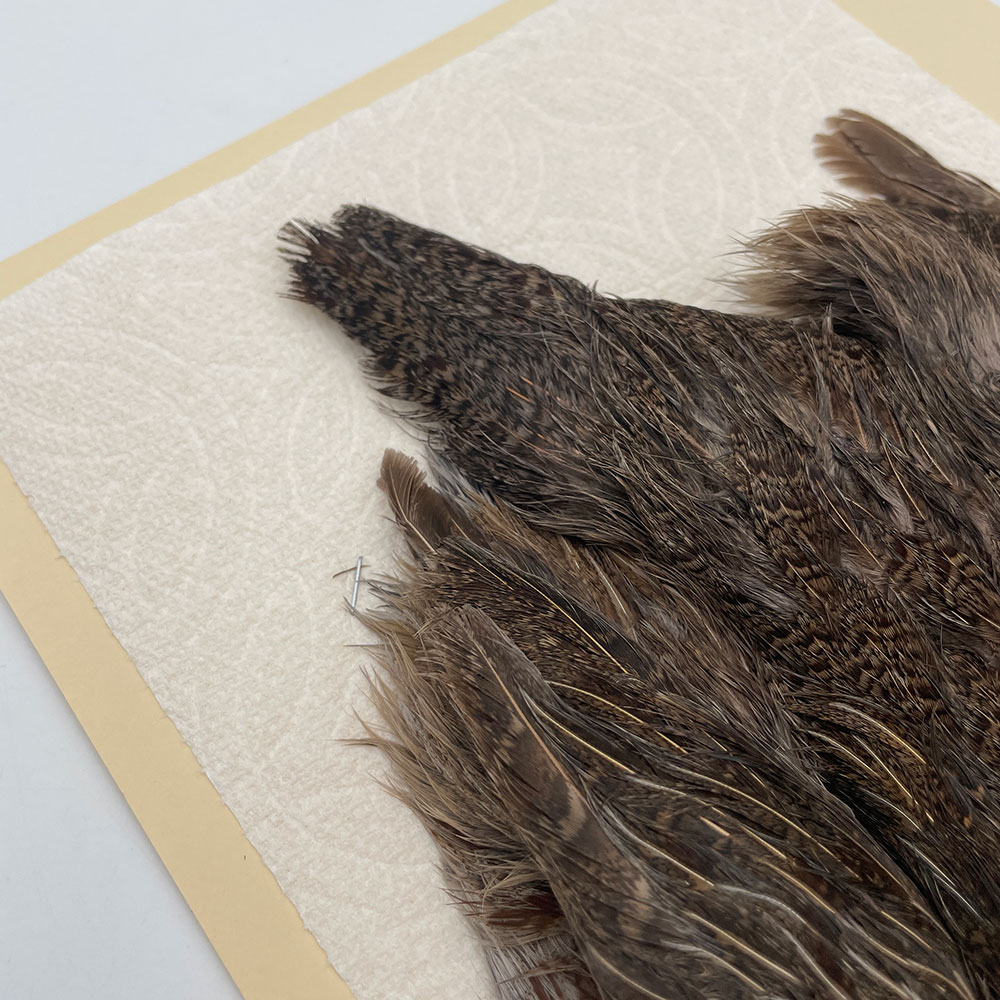 ϥ󥬥ꥢѡȥåץ꡼ȥ SAɥ NO.2