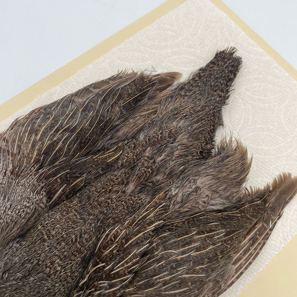 ϥ󥬥ꥢѡȥåץ꡼ȥ SAɥ NO.2