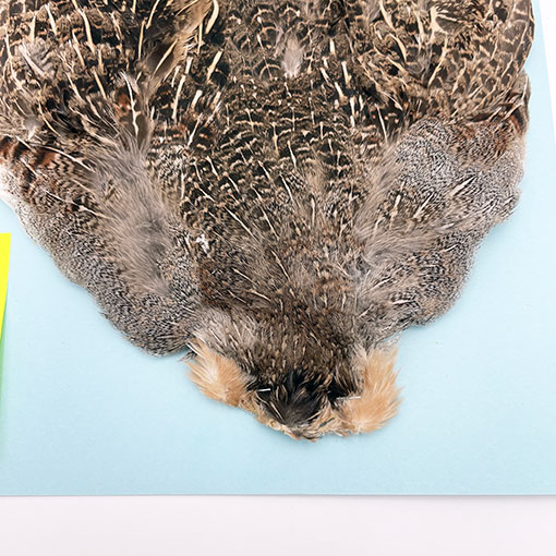 ϥ󥬥ꥢѡȥåץ꡼ȥ NO.4