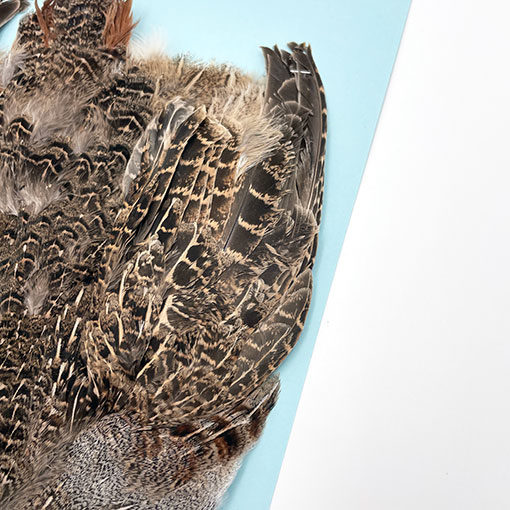 ϥ󥬥ꥢѡȥåץ꡼ȥ NO.4