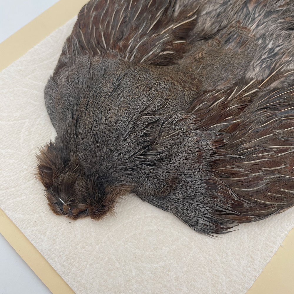 ϥ󥬥ꥢѡȥåץ꡼ȥ SAɥ NO.3