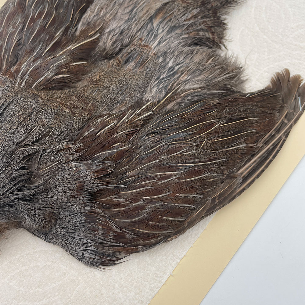 ϥ󥬥ꥢѡȥåץ꡼ȥ SAɥ NO.3