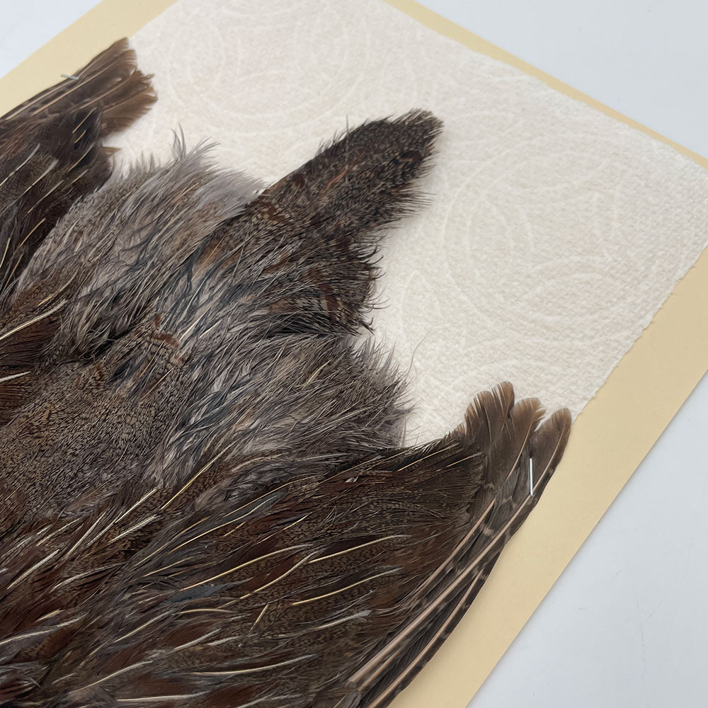 ϥ󥬥ꥢѡȥåץ꡼ȥ SAɥ NO.3