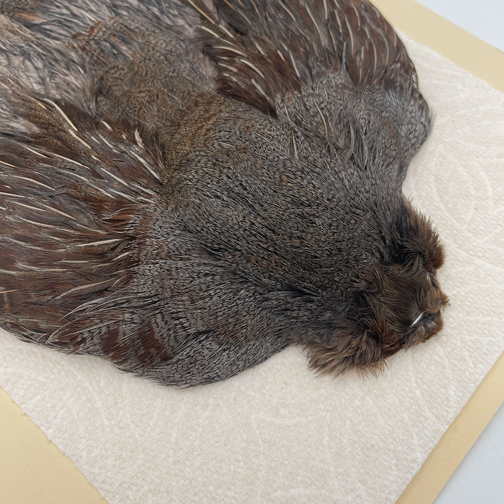 ϥ󥬥ꥢѡȥåץ꡼ȥ SAɥ NO.3