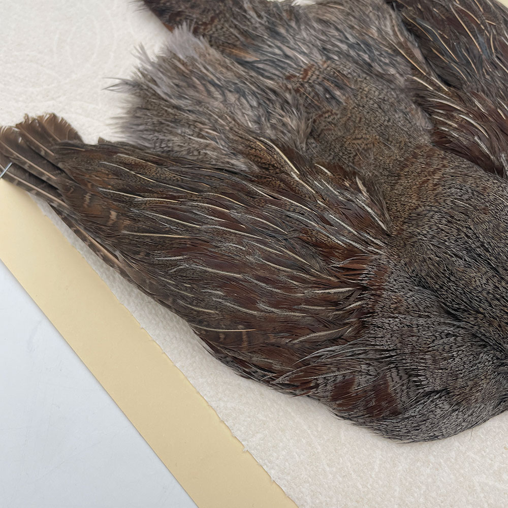 ϥ󥬥ꥢѡȥåץ꡼ȥ SAɥ NO.3