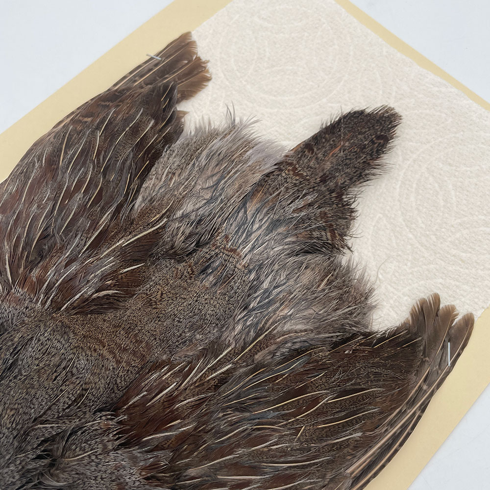 ϥ󥬥ꥢѡȥåץ꡼ȥ SAɥ NO.3