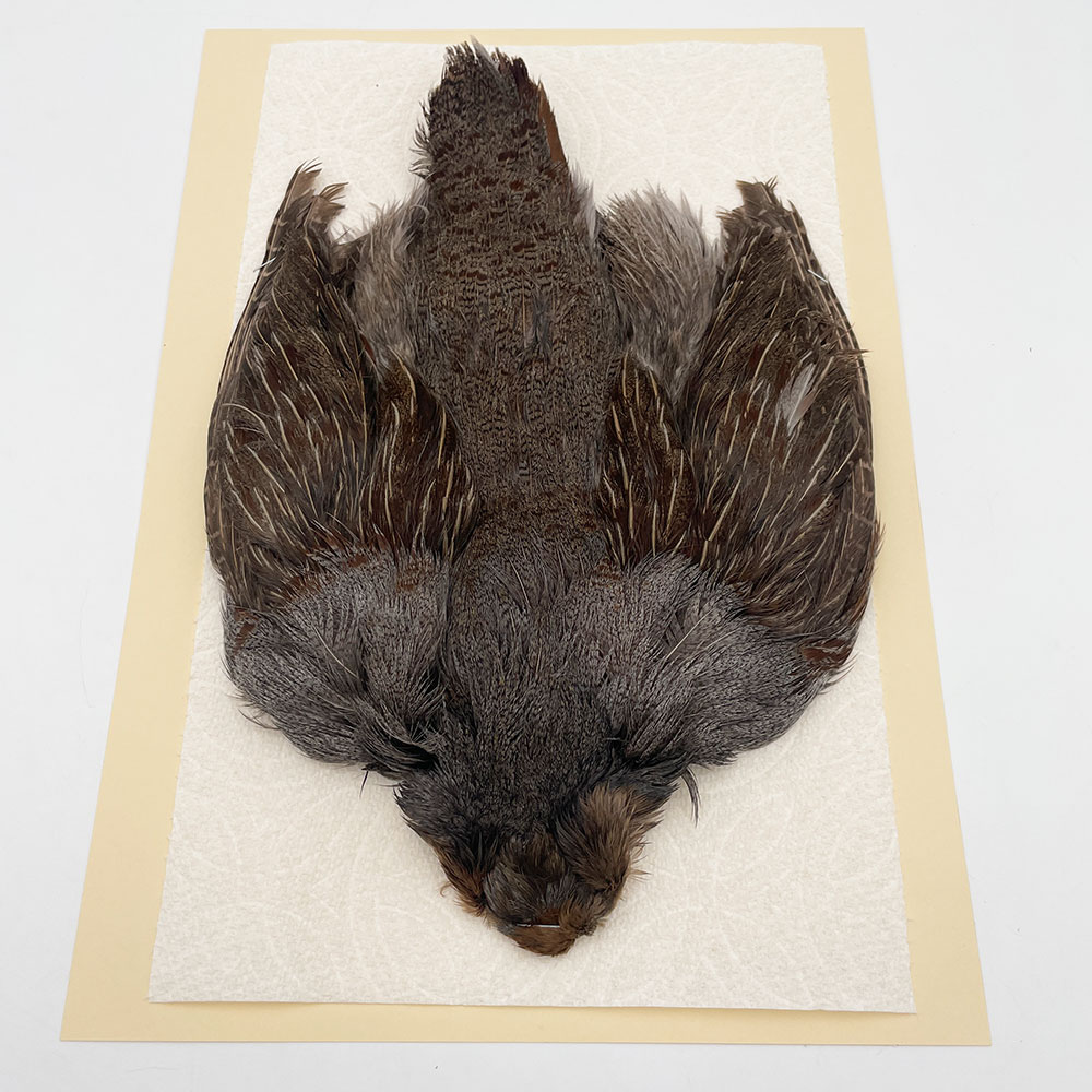 ϥ󥬥ꥢѡȥåץ꡼ȥ SAɥ NO.4