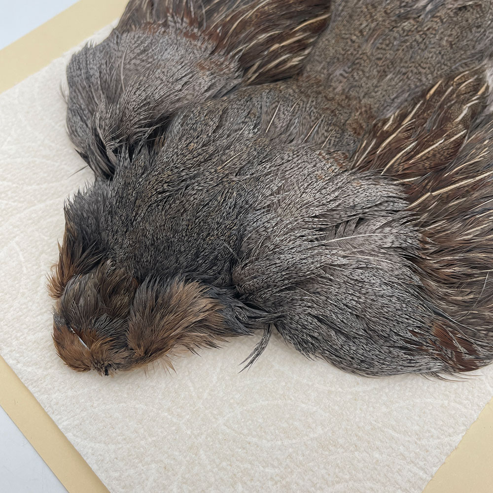 ϥ󥬥ꥢѡȥåץ꡼ȥ SAɥ NO.4