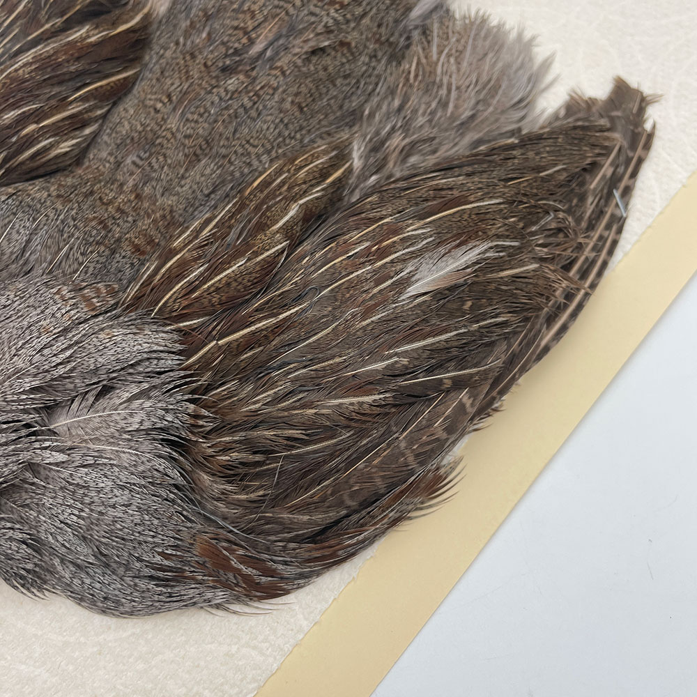 ϥ󥬥ꥢѡȥåץ꡼ȥ SAɥ NO.4