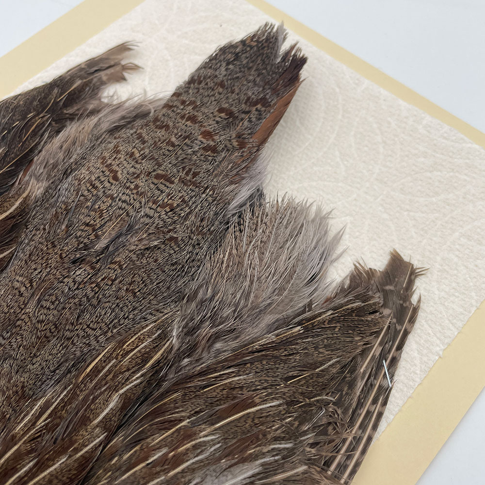 ϥ󥬥ꥢѡȥåץ꡼ȥ SAɥ NO.4