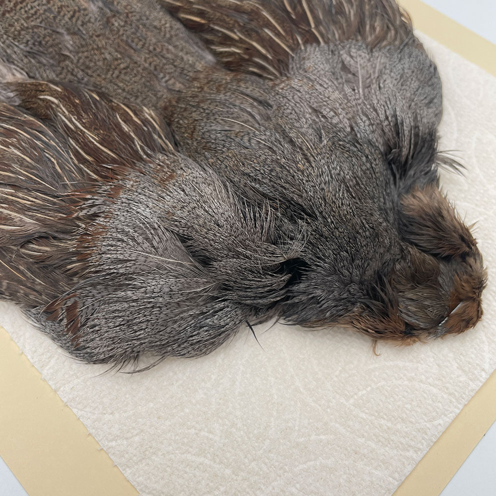 ϥ󥬥ꥢѡȥåץ꡼ȥ SAɥ NO.4