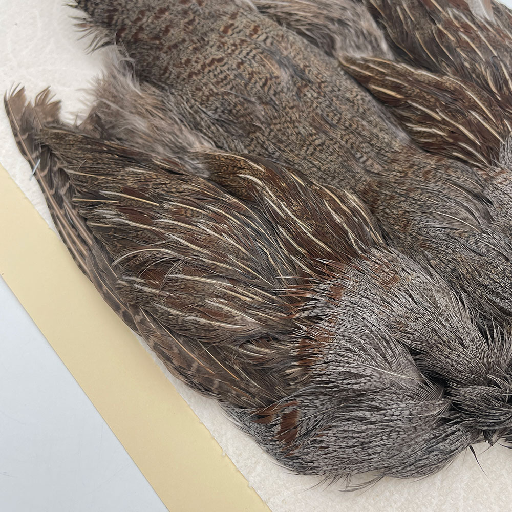 ϥ󥬥ꥢѡȥåץ꡼ȥ SAɥ NO.4