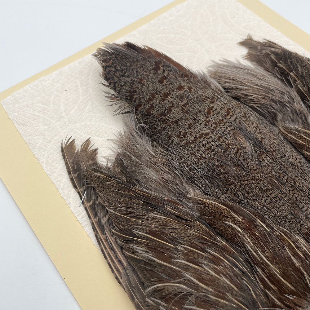 ϥ󥬥ꥢѡȥåץ꡼ȥ SAɥ NO.4